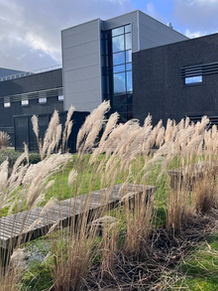 DB Accounting - Expertise Comptable et Fiscale a déménagé