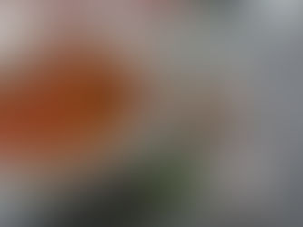 Versatile passata / tomato sauce