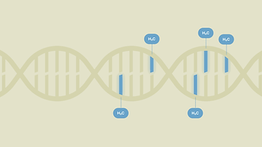 dna-methylation-dna-helix-cytosine.png