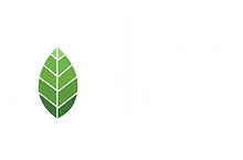 Logo branca_nova.png