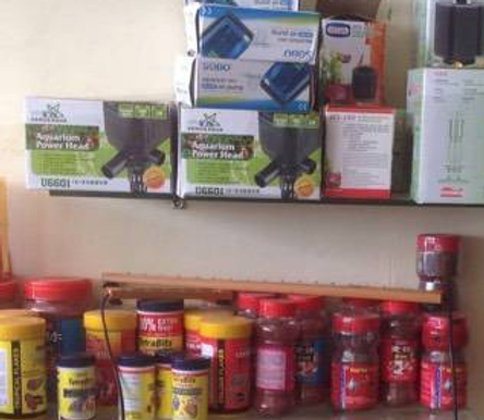 ScreenHunter 515.png