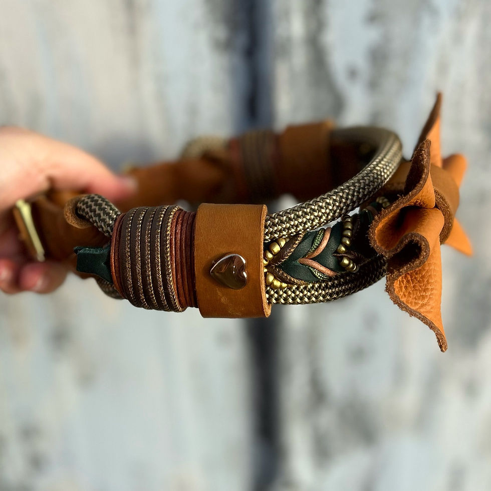 Miniaturbild: Wild&Free Lederhalsband