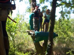 Sortie Accrobranche 2015