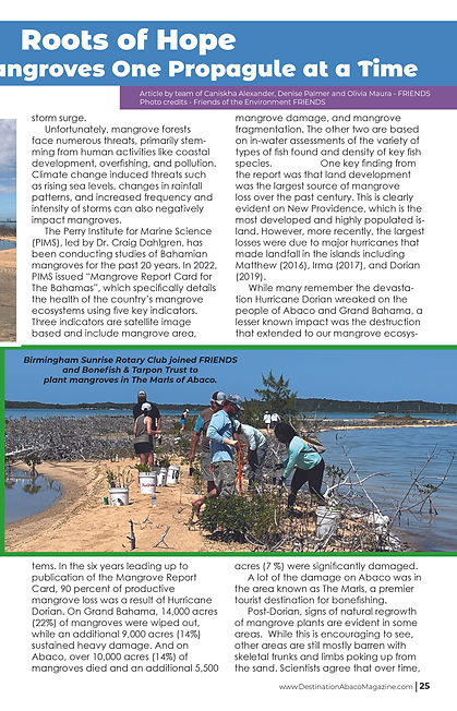 Destination Abaco Issue 4125.jpg