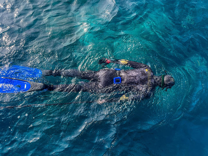 Spearfishing in Abaco (2) - Leia.jpg