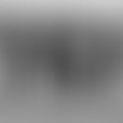 "SUMMER CAMP" DES INSÉPARABLES :#COCONSTRUCTION