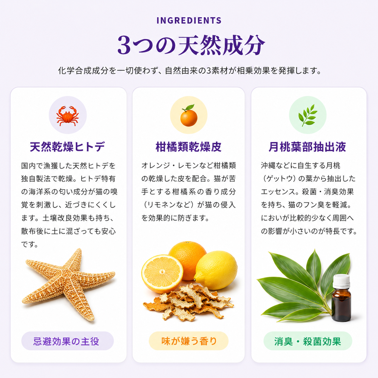 猫バイバイの3つの天然成分（天然乾燥ヒトデ・柑橘類乾燥皮・月桃葉部抽出液）