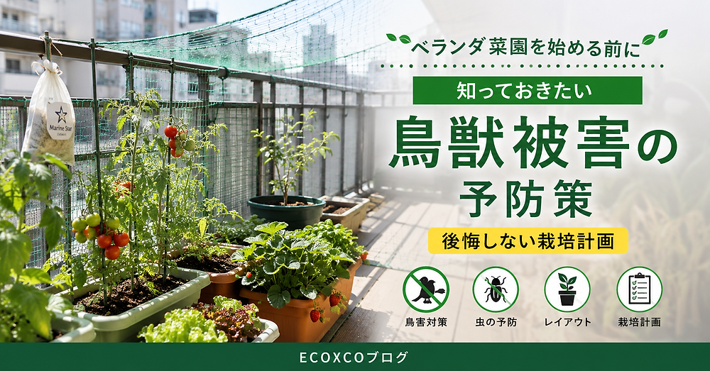 ベランダ菜園を始める前に知っておきたい鳥獣被害の予防策｜後悔しない栽培計画