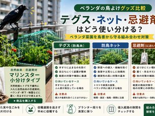 ベランダの鳥よけグッズ比較|テグス・ネット・忌避剤はどう使い分ける?