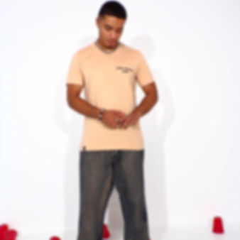 Tan T- Shirt
