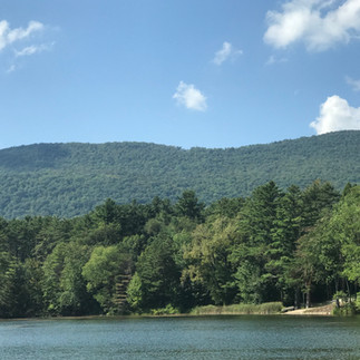 A lakeshore with trees and a mountain on a bright summer day