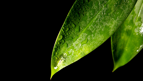 Ozeanity Marketing, Design & Corporate Image