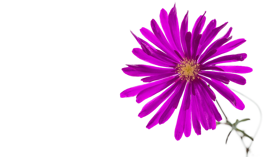 Ozeanity Marketing, Design & Corporate Image