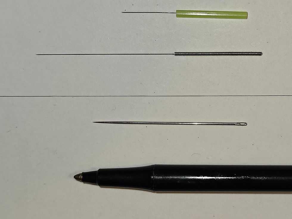 Acupuncture needles.