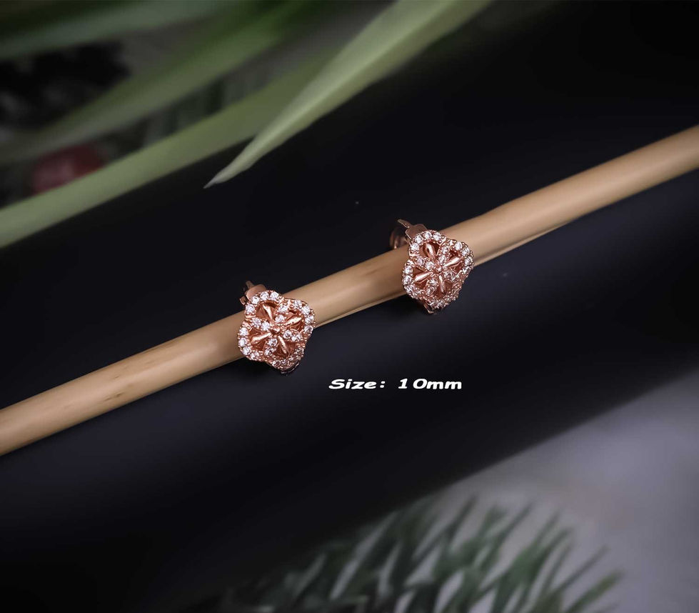 B1173_1759222827593~2