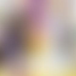 『黎明国花伝』(全3巻)