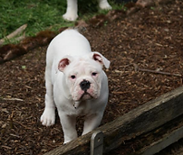 Screenshot 2025-01-25 16.39.15.png