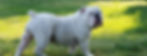 20180524_183729_edited_edited.jpg