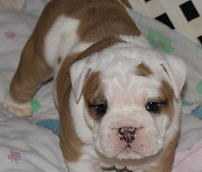 Screenshot 2025-01-25 16.43.18.png