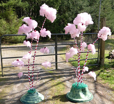 18839811_1517062598346414_48048946630497