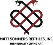 FullLogo_Transparent_NoBuffer (4).png