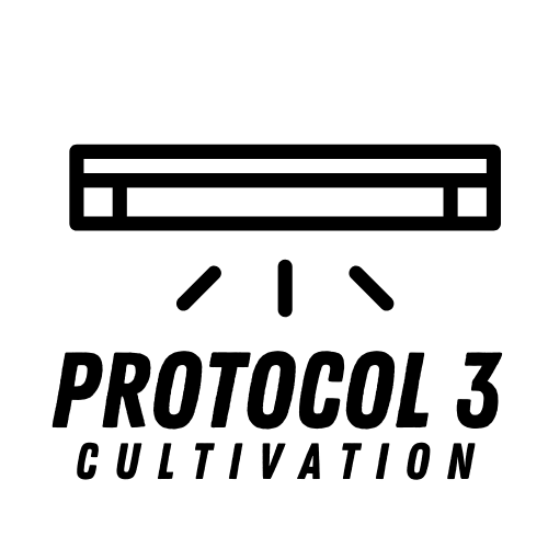 Protocol 3