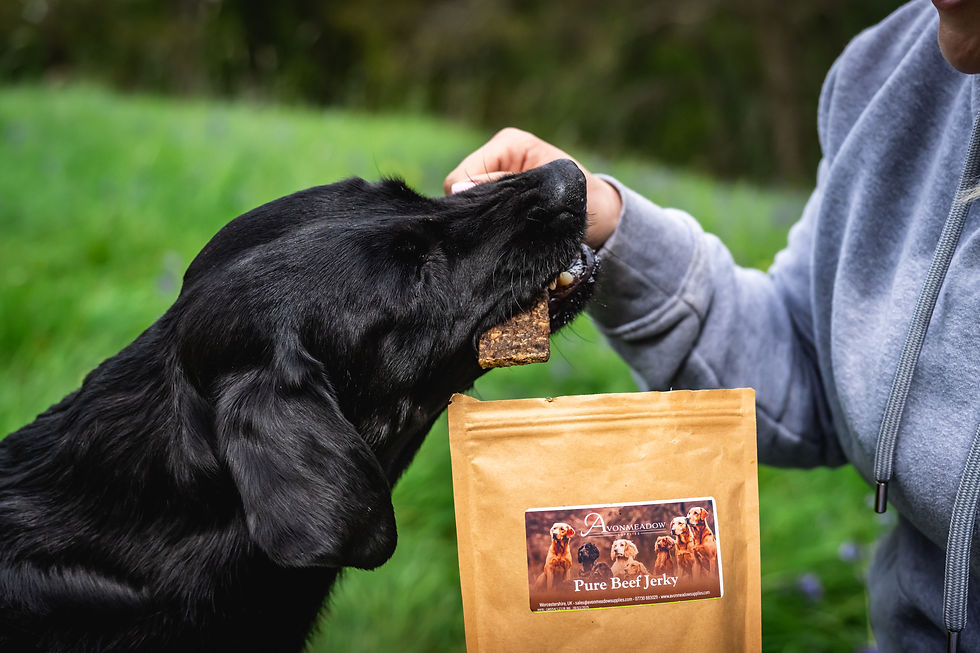 Thumbnail: Women giving black dog a jerky strip