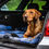 Thumbnail: Ginger dog led in boot of car on vet bed