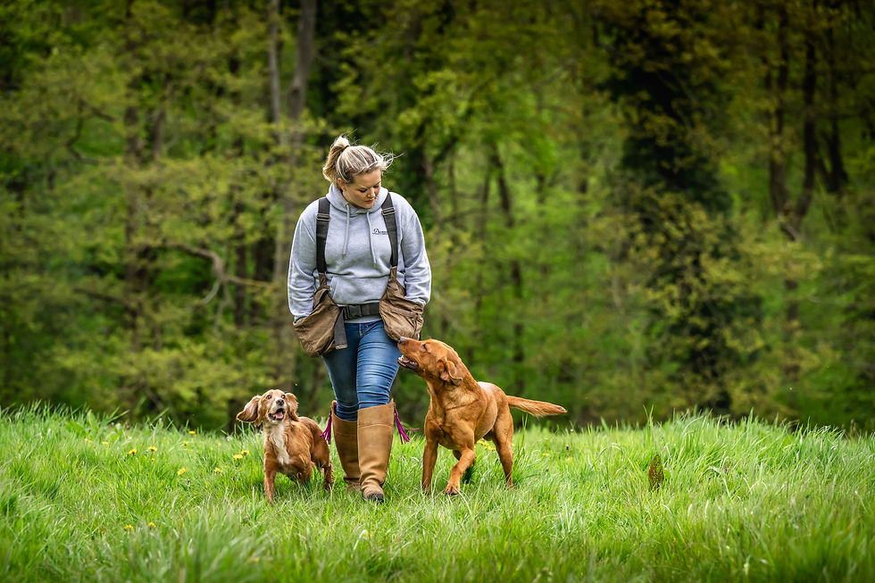 women walking with dogs to heel