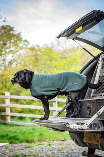 hotter dog drying coat