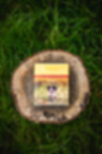 Packet of wet food on log