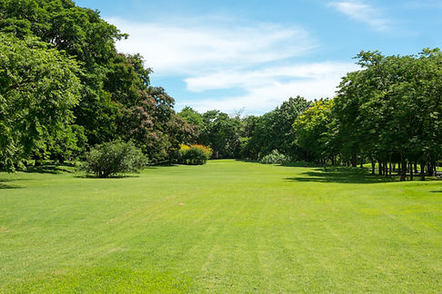 City park at Vachirabenjatas Park (Rot Fai Park) Bangkok, Thailand.jpg