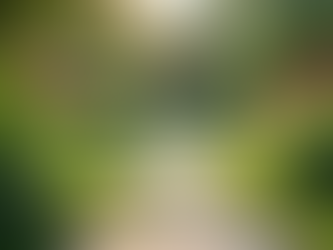 Building Better Relationships Through Non-Violent Conflict Resolution