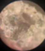 Macro of trinitite surface texture showing vesicles