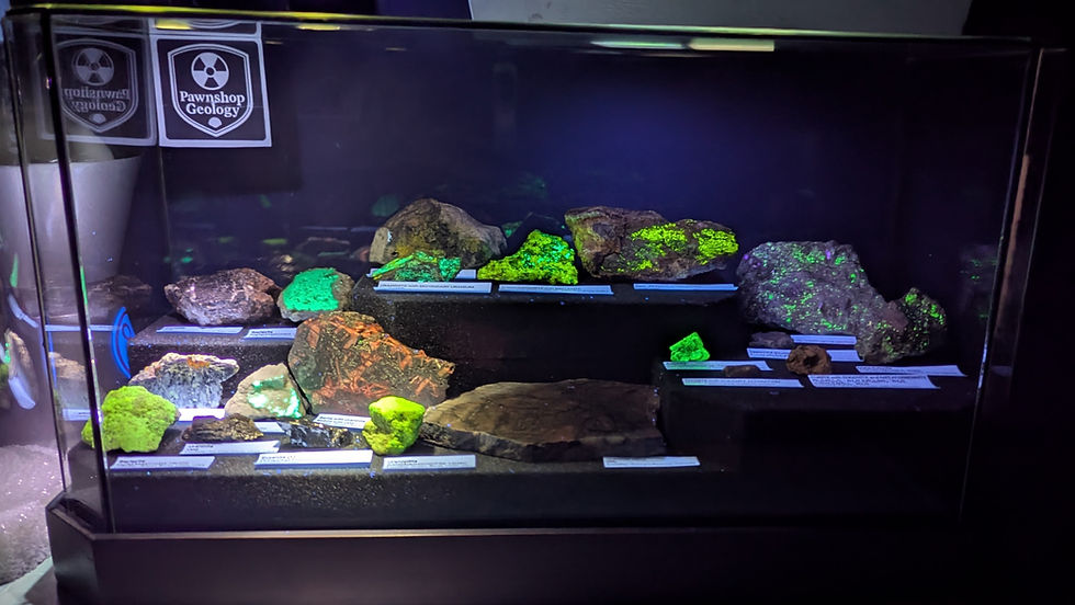 Display case with glowing fluorescent radioactive rocks under UV light. Labels identify each mineral. Signs read "Pawnshop Geology." Dark background.