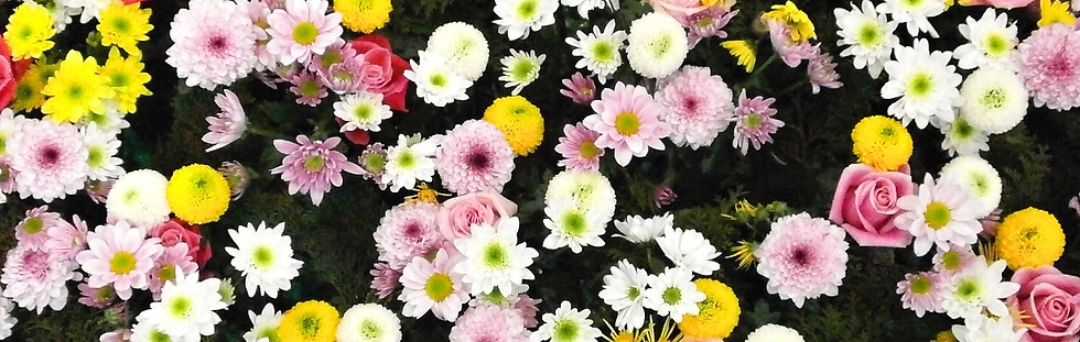 Flowers_edited.jpg