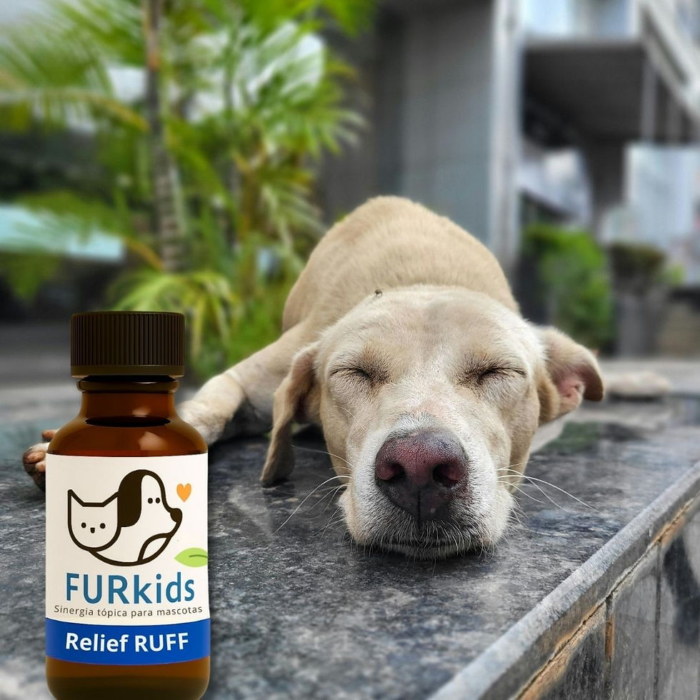 Miniatura: FURKIDS RELIEF RUFF – ACEITES ESENCIALES PARA DOLOR MUSCULAR/ARTICULAR