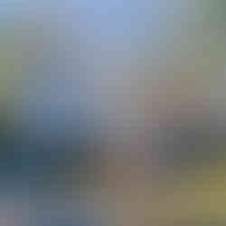 This close up of the tan one level house, shows a walkway leading to the front door, there is a door on the side of the house as well off of the driveway, and a large window on the front of the house.