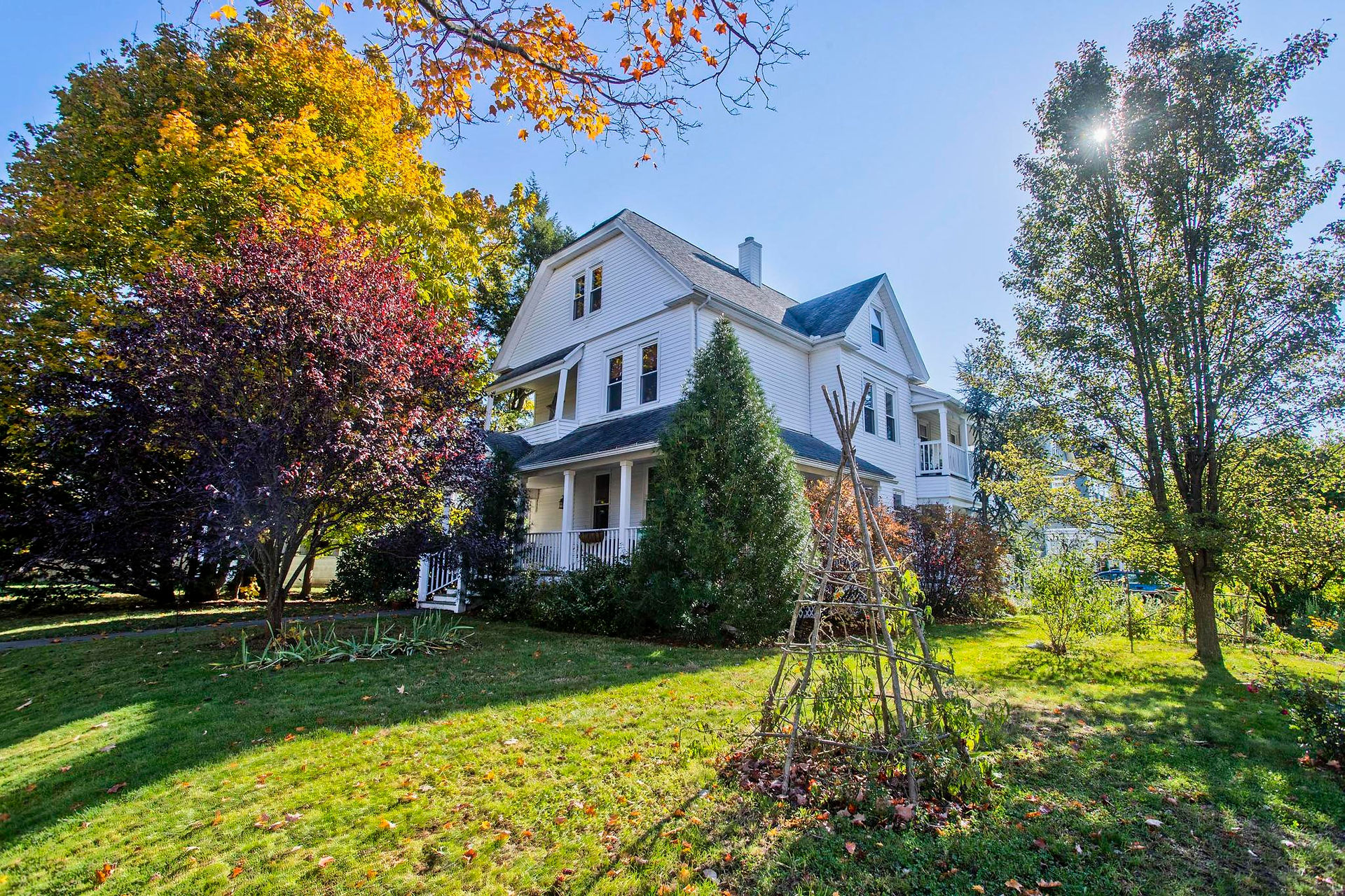There is a white 3 story house, with a small tree in the front yard, shrubbery around the side of the house, and a smaller tree in the side yard.