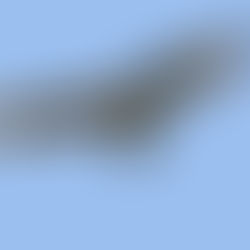 Wespenbussard als biologische Waffe gegen invasive Hornisse