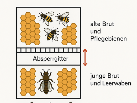 Bruttrennung nach Demarée