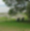 chaises_longue_ile_d'orl%C3%83%C2%A9ans_