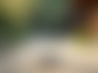 Asian and European Techniques for Total Wellness