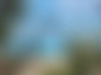 Playa del Carmen es más que un destino…