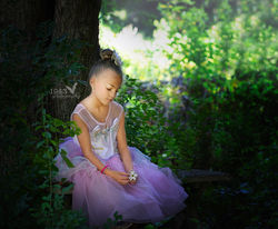 Sedonoa in woods_fbwm