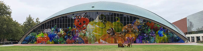 kresge pumpkin reflections.jpg