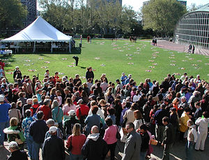 opening line 2006.jpg