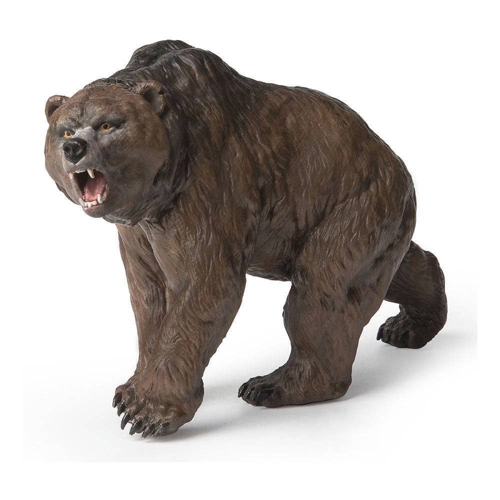 Cave Bear
