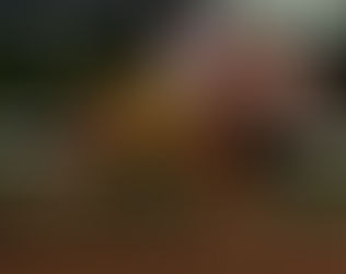 Grade 1 Finalist Apollitical J Streak To Stand First Season at Royal Vista Ranch, LLC