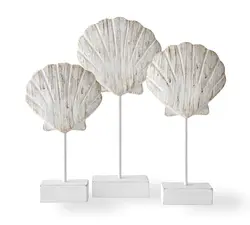 Shells